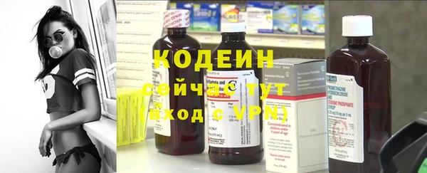 мдпв Богданович