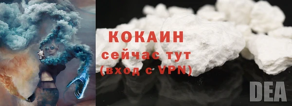 гашик Заполярный