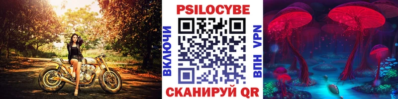 KRAKEN онион Калининск Галлюциногенные грибы Psilocybe